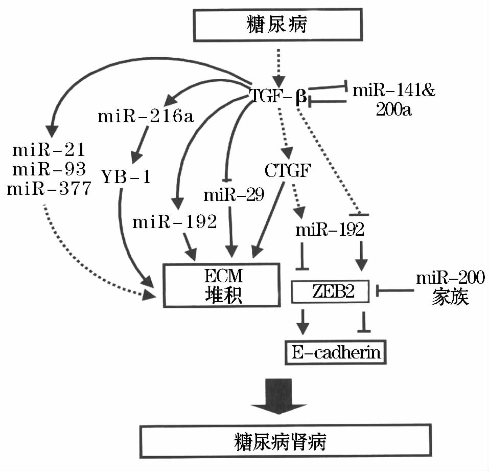 金教授 国际进展 图1.jpg